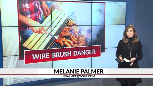 7 News Metal Grill Brush Bristle Damaged Intestines