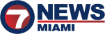 WSVN Logo Blue