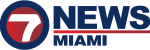 WSVN Logo Blue